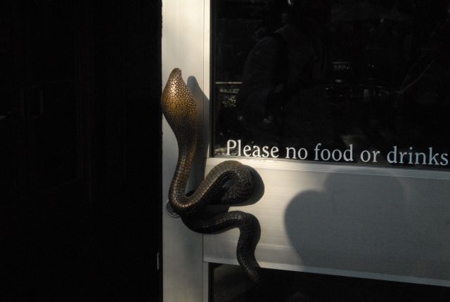 International Herp Symposium 2011