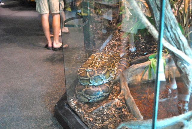 International Herp Symposium 2011