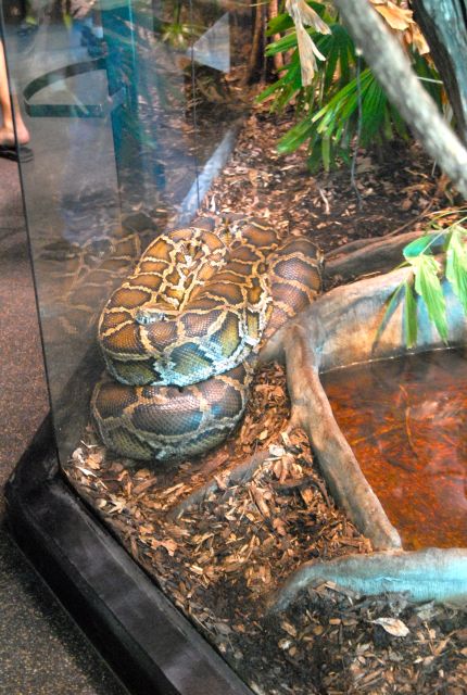 International Herp Symposium 2011