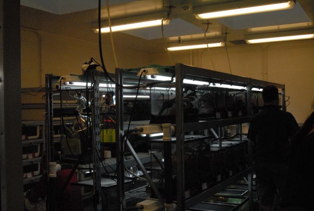 International Herp Symposium 2011