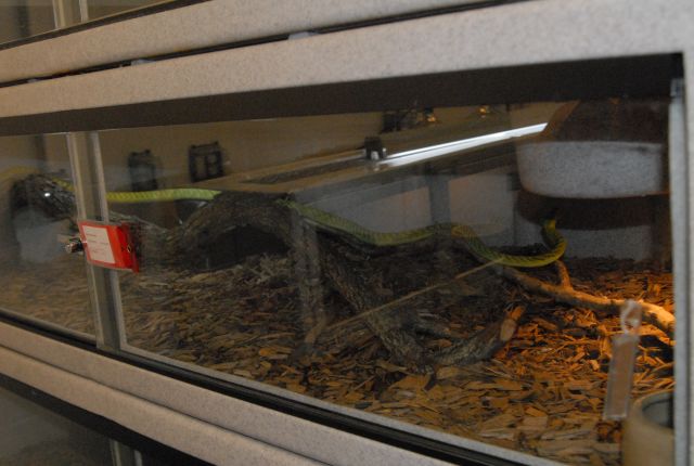 International Herp Symposium 2011
