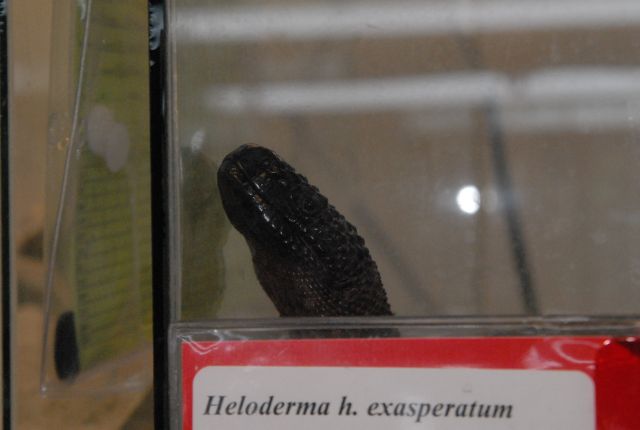 International Herp Symposium 2011