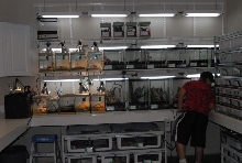 International Herp Symposium 2011