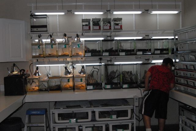 International Herp Symposium 2011