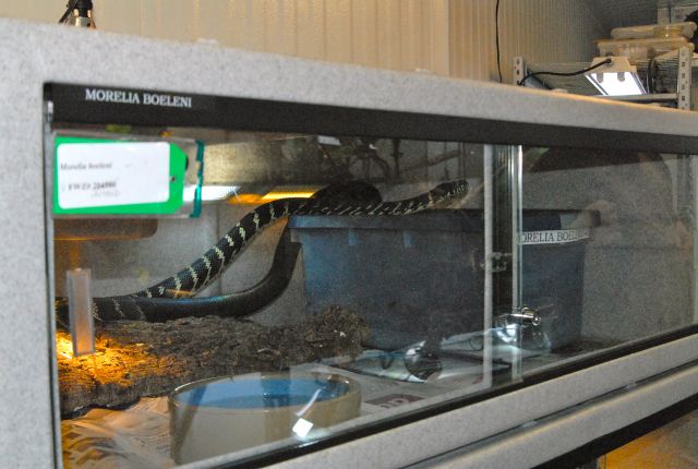 International Herp Symposium 2011