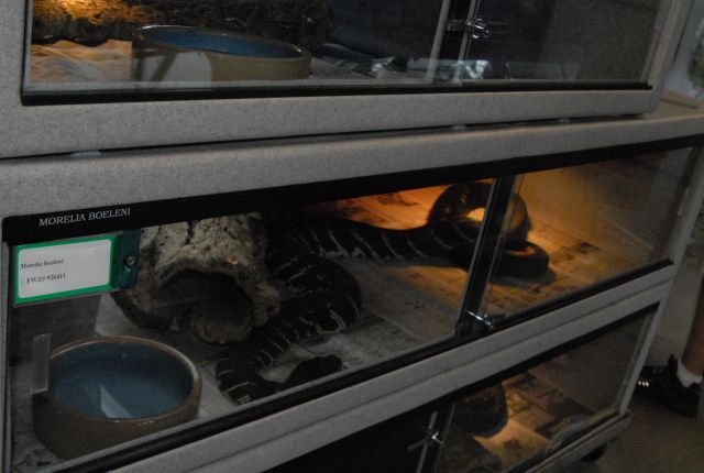 International Herp Symposium 2011