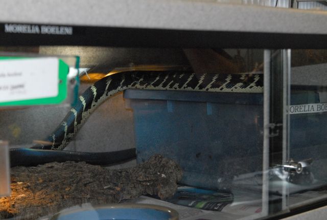 International Herp Symposium 2011