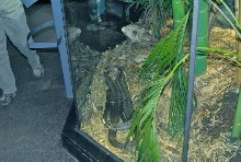International Herp Symposium 2011