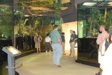 International Herp Symposium 2011