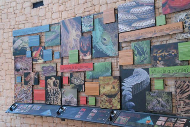 International Herp Symposium 2011