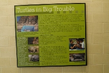 International Herp Symposium 2011