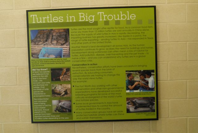 International Herp Symposium 2011