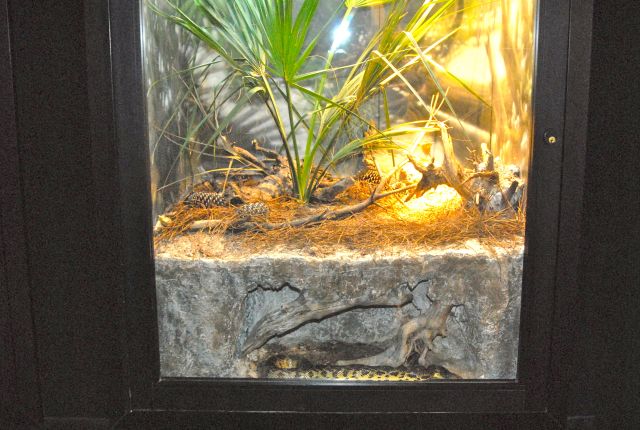International Herp Symposium 2011