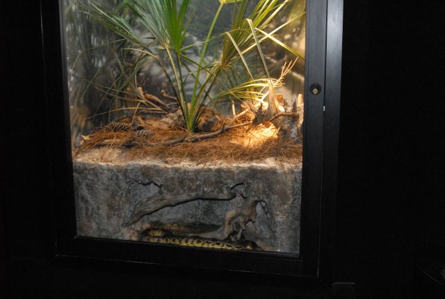International Herp Symposium 2011