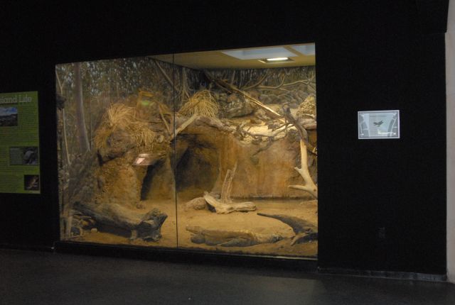 International Herp Symposium 2011