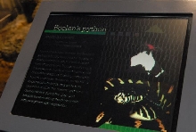 International Herp Symposium 2011