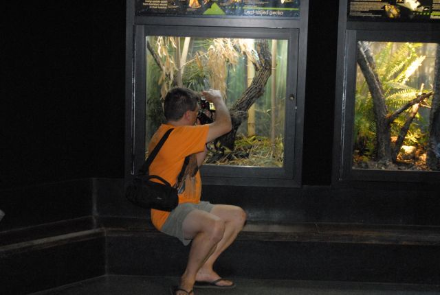 International Herp Symposium 2011