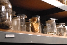 International Herp Symposium 2011