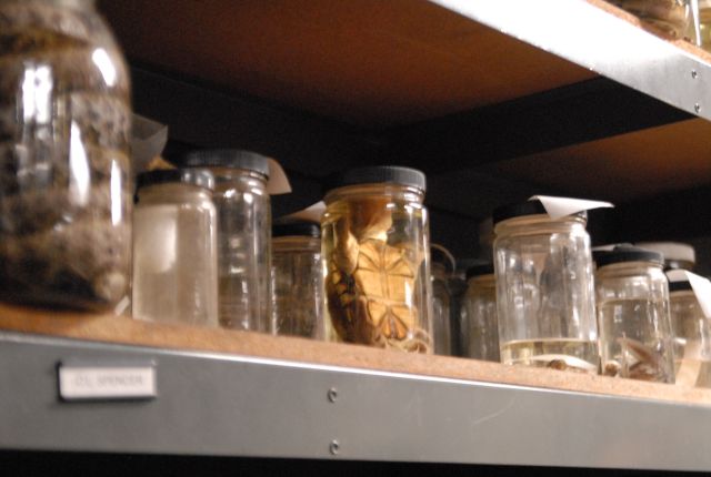 International Herp Symposium 2011