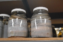 International Herp Symposium 2011