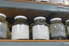 International Herp Symposium 2011