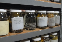 International Herp Symposium 2011