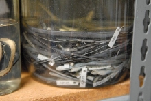 International Herp Symposium 2011