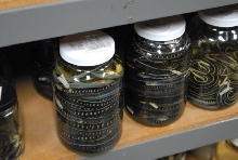 International Herp Symposium 2011