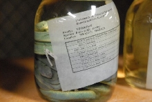 International Herp Symposium 2011