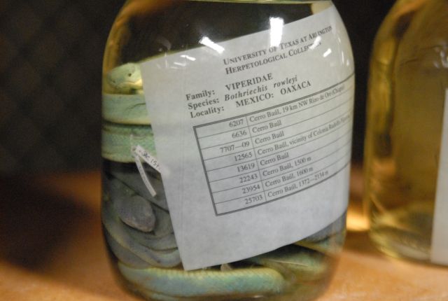 International Herp Symposium 2011