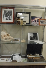 International Herp Symposium 2011