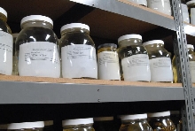 International Herp Symposium 2011