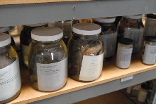 International Herp Symposium 2011