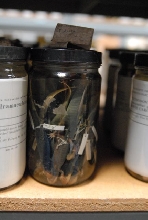 International Herp Symposium 2011
