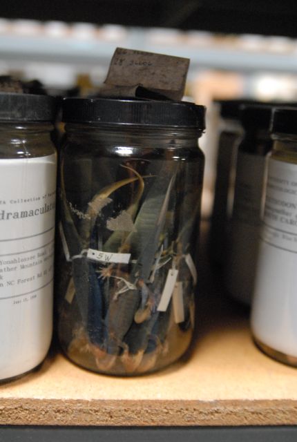 International Herp Symposium 2011