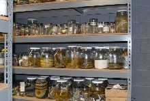 International Herp Symposium 2011