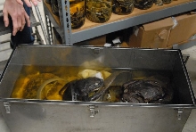 International Herp Symposium 2011