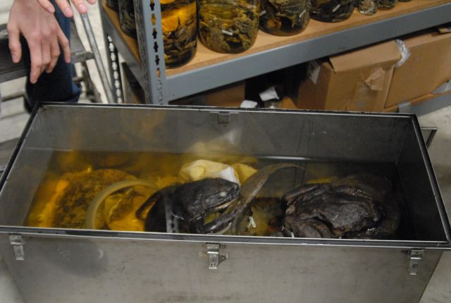 International Herp Symposium 2011