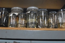 International Herp Symposium 2011