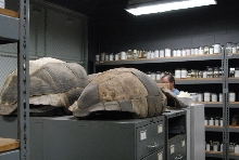 International Herp Symposium 2011