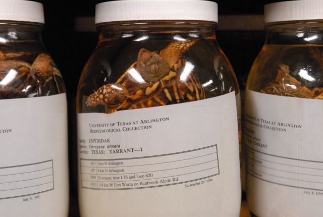 International Herp Symposium 2011