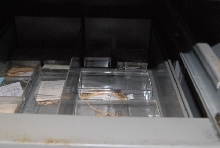 International Herp Symposium 2011