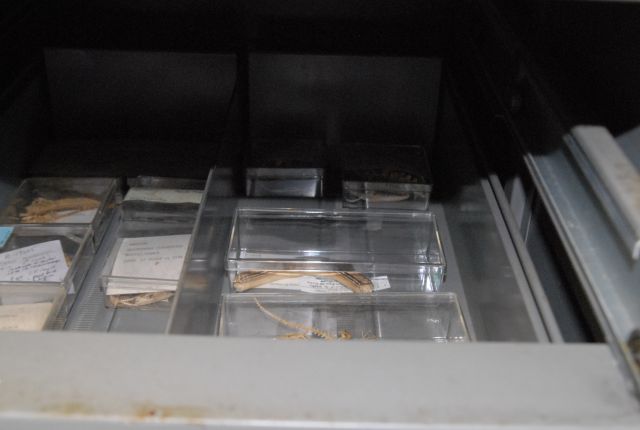 International Herp Symposium 2011