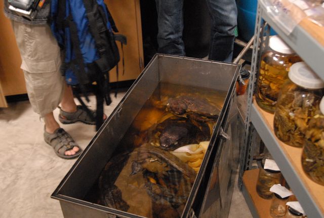International Herp Symposium 2011