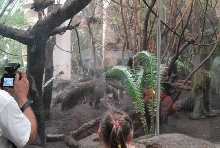 International Herp Symposium 2011