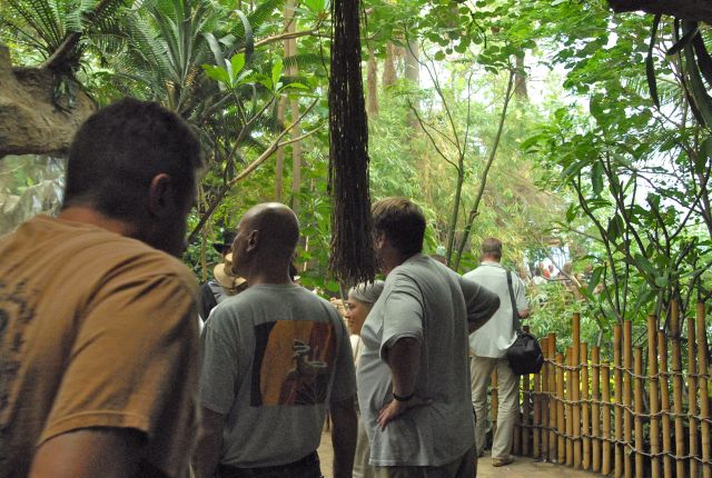 International Herp Symposium 2011