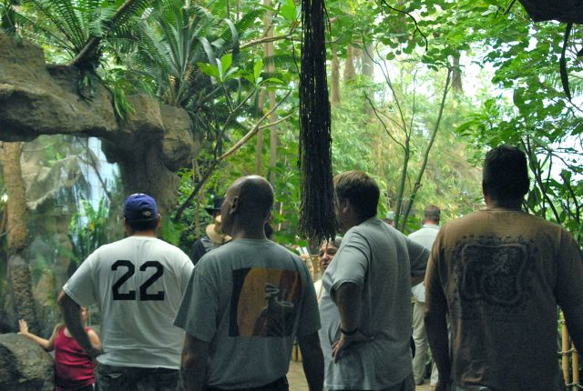 International Herp Symposium 2011