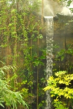 International Herp Symposium 2011