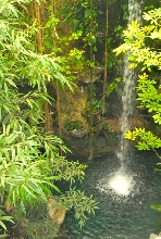 International Herp Symposium 2011