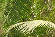 International Herp Symposium 2011